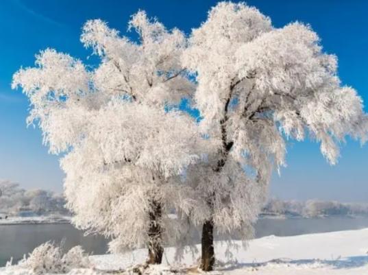 ���ֶ����䵽ʲô�r�򣿶����ڼ�������Ĝض��Ƕ���