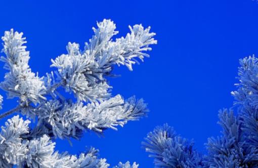 ���ֶ����䵽ʲô�r�򣿶����ڼ�������Ĝض��Ƕ���