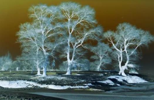 ���ֵĶ����Ўׂ��£�����ȥ���ִ�ʲô�·�