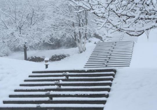 ����ȥ�Ͼ���ʲô�·����m���Ͼ����·��_ʼ��ѩ