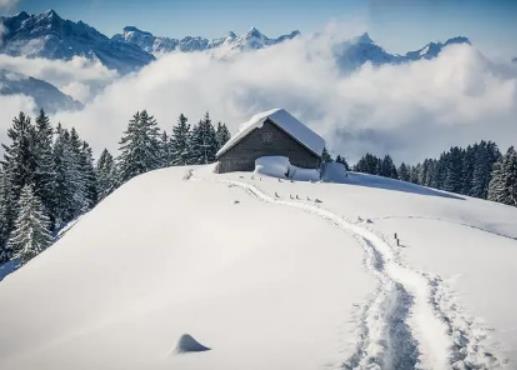 ���ڵĶ�����ʲô�ӣ�����׃����(hu��)���m(x��)�ׂ�(g��)��