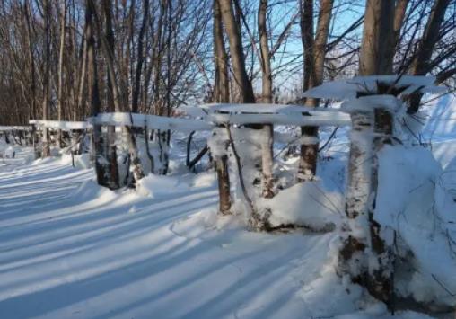 2023������ʲô�r(sh��)���_(k��i)ʼ׃�䣿2023������ʲô�r(sh��)��ŕ�(hu��)׃�䴩�L(zh��ng)��