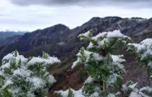 ����12�·���⴩ʲô�����϶�����ʲô�����