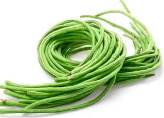 新出的豆角葉子卷曲褶皺是什么原因?豆角死苗爛根的原因有哪些 新出的豆角葉子卷曲褶皺是什么原因?豆角死苗爛根的原因有哪些