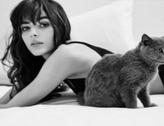 ʮ����¼���Ʒ�����а񣬐�Ľ���������m���Q�����ݷ҃��º��Ը�