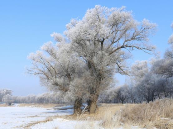 �����I������Դ��R��ѥ���������I������Դ�ȹ�ӆ�