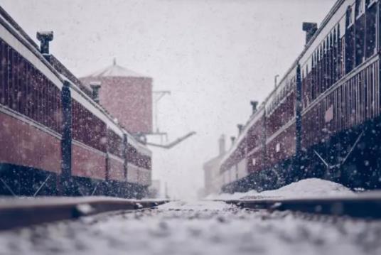 2024�Ϻ���ʿ�ᴺ�����g�����П�����᣿1�·�ȥ�Ϻ���ʲô�·��ÿ�