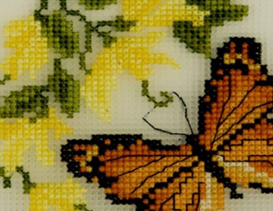 ʮ��ʮ���C����Ʒ��������DMCʮ���C�����J(r��n)����KSʮ���C�Ԍ�(sh��)�����Q