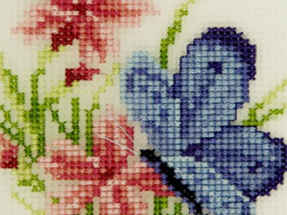 ʮ��ʮ���C����Ʒ��������DMCʮ���C�����J(r��n)����KSʮ���C�Ԍ�(sh��)�����Q