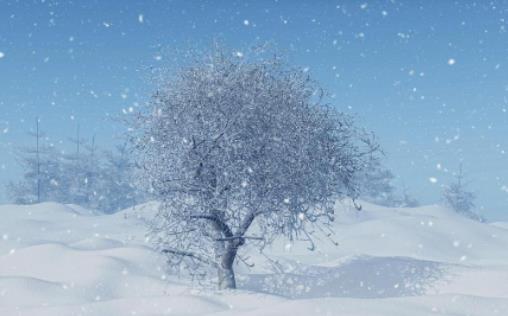 ��ʲô��3���˱���߀����ѩ��3�·�ȥ������ʲô�·���