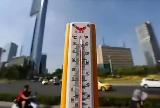 2024��ĸߜ�����(hu��)���m(x��)��ã��Ă�(g��)��(ji��)���^(gu��)��������