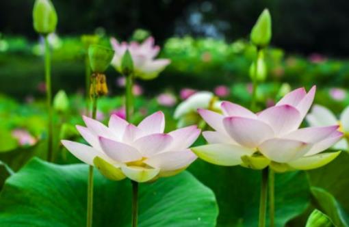 �Ă������^��������������ض�Խ�ߝ��Խ���