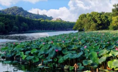 2024年立夏后就熱了嗎?今年夏天我國的氣溫和往年比是偏高還是偏低 2024年立夏后就熱了嗎?今年夏天我國的氣溫和往年比是偏高還是偏低