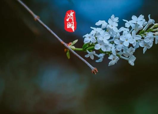 2024年清明節會降溫嗎?2024清明節會不會堵車 2024年清明節會降溫嗎?2024清明節會不會堵車