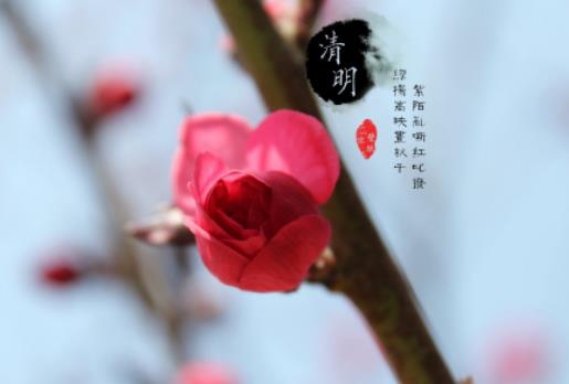 2024年清明節能提前多久掃墓?2024年北京清明節掃墓要預約嗎 2024年清明節能提前多久掃墓?2024年北京清明節掃墓要預約嗎