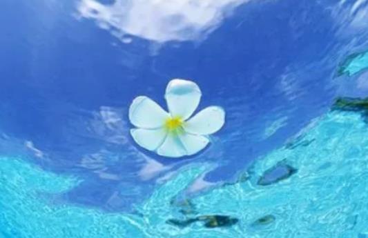 ����ɳ�m��һ�����Ă����������������AӋ�ж���