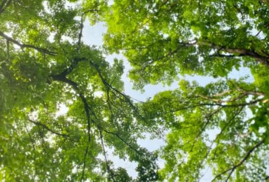 2024年北京5月份的溫度大概是多少?2024年北京夏天是幾月到幾月 2024年北京5月份的溫度大概是多少?2024年北京夏天是幾月到幾月