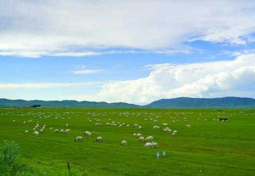 �Ї�ʮ��ֵ��ȥ�ľ��c���а������ǁ������Sɽ�L���^ϴ�Y������`