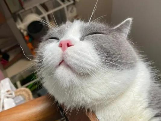 ؈���ʳ����ʲôԭ������ʲô؈�������ĺ��[�v