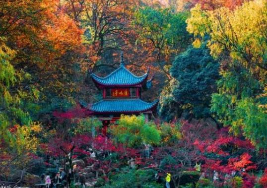 中國十大著名古亭排名,紹興蘭亭風景區幽靜雅致、滁州醉翁亭不為人所忘 中國十大著名古亭排名,紹興蘭亭風景區幽靜雅致、滁州醉翁亭不為人所忘