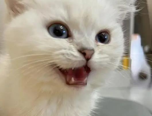 ؈�佛����ë����ô�������]��؈����ô׌؈��ë