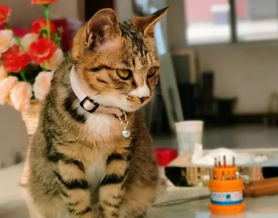 ؈؈��ɶϲ�gҧֲ���؈�^���܏ص��κÆ�