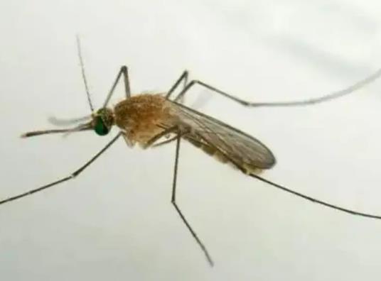 ����Ŵ����º��m�᣿�����c����˯�X�к���