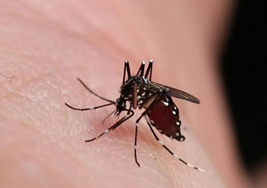 ����һ���cһ�P�᣿��������c�ɱP��