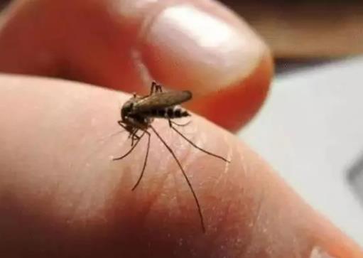 �c�����_�T���ӕ��w�M��᣿�c�����_�T��߀�ǲ��_�T��