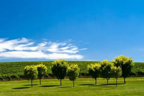 ���ڵ؅^һ����µ������������һ���܇�ܲ����M����