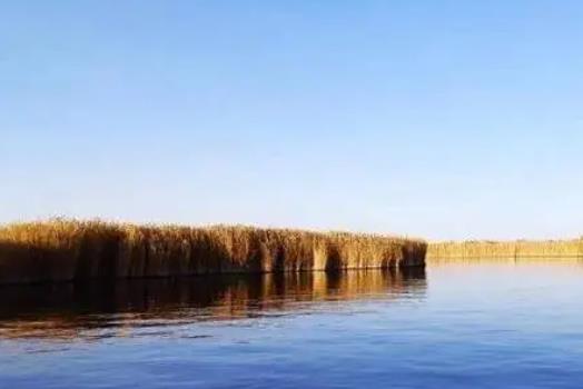 2024年五月份去新疆冷不冷?五月份新疆的天氣怎么樣 2024年五月份去新疆冷不冷?五月份新疆的天氣怎么樣