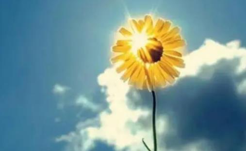 ��һ�^��ȥ�|���洩ʲô���m����һ�^��|�������ô��