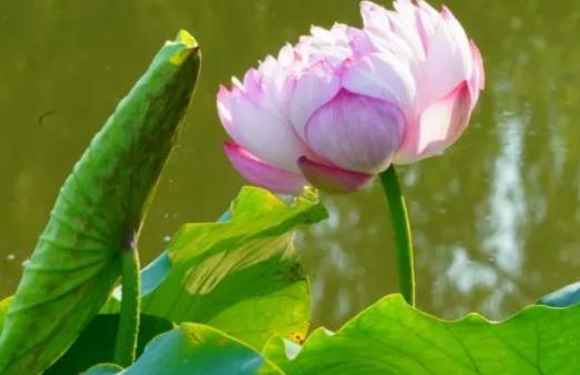 2024���K�������߀���Ͼ���������Ͼ�������һ�����