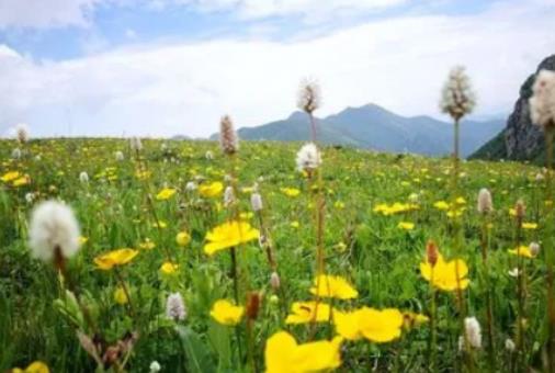 �Ͼ��Ě����K�ݲ��᣿�Ͼ�2024���������ϰ��c(di��n)����ˆ�