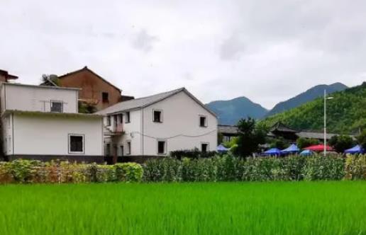 5月份適不適合去南京玩?5月份去南京適合哪些景區玩 5月份適不適合去南京玩?5月份去南京適合哪些景區玩