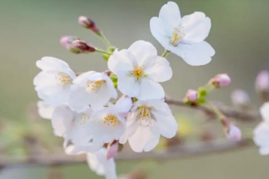 2024����h5�·ݚ�ض��ٶȣ�2024����h5�·������