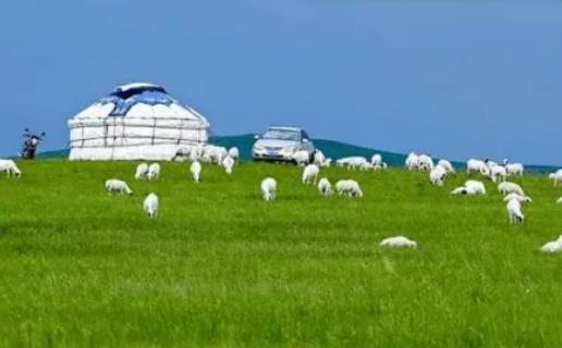 ���ɹ����·ݴ�ʲô�·������ɹ����·ݵ������ô��