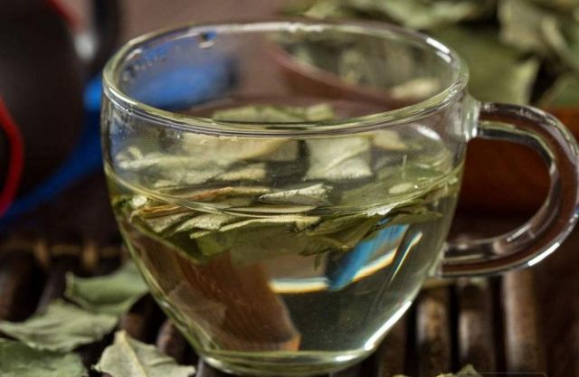 新鮮荷葉能泡水喝嗎 新鮮荷葉怎么處理 新鮮荷葉能泡水喝嗎 新鮮荷葉怎么處理