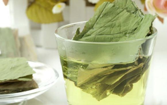 綠茶和荷葉茶的營養價值區別 綠茶和荷葉茶的吃法區別 綠茶和荷葉茶的營養價值區別 綠茶和荷葉茶的吃法區別