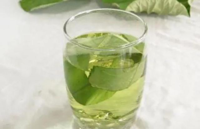 荷葉泡水喝有什么禁忌要知道 荷葉茶是涼性的嗎 荷葉泡水喝有什么禁忌要知道 荷葉茶是涼性的嗎