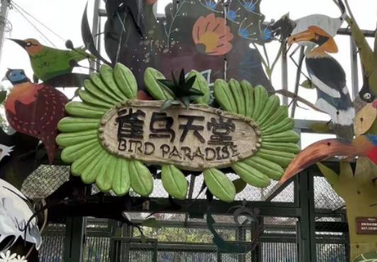 武漢野生動物王國的動物都吃些什么?武漢野生動物王國停車方便嗎 武漢野生動物王國的動物都吃些什么?武漢野生動物王國停車方便嗎