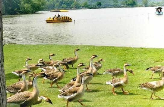 ��hҰ��������������IƱ����hҰ������������@����