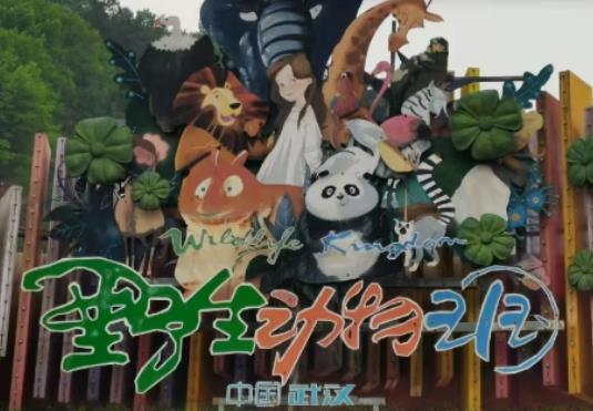 武漢野生動物王國如何買票?武漢野生動物王國入園流程 武漢野生動物王國如何買票?武漢野生動物王國入園流程