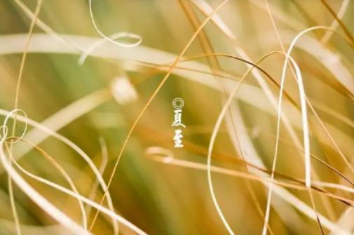 夏至后降雨量會(huì)怎么樣?夏至之后天氣有什么變化 夏至后降雨量會(huì)怎么樣?夏至之后天氣有什么變化