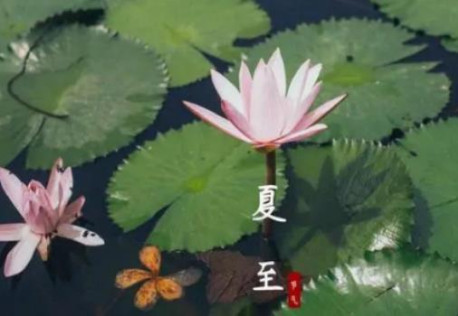 夏至后降雨量會(huì)怎么樣?夏至之后天氣有什么變化 夏至后降雨量會(huì)怎么樣?夏至之后天氣有什么變化