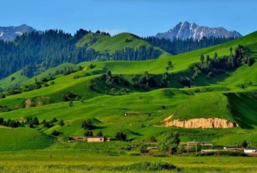 6月份去新疆的人多嗎?2024年6月份去新疆旅游冷不冷 6月份去新疆的人多嗎?2024年6月份去新疆旅游冷不冷