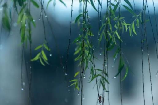 2024年上海6月份氣溫多少度?2024年上海6月份是不是梅雨季 2024年上海6月份氣溫多少度?2024年上海6月份是不是梅雨季