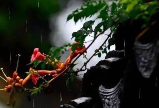 上海梅雨季節(jié)持續(xù)多久?上海2024年什么時候出梅 上海梅雨季節(jié)持續(xù)多久?上海2024年什么時候出梅