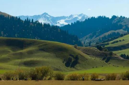 7月份新疆的氣候怎樣?7月份去新疆怎么樣 7月份新疆的氣候怎樣?7月份去新疆怎么樣