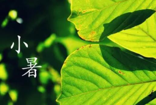 2024��С���߀�Ǵ���᣿2024��С���^��������ˆ�